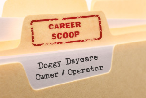 Career Scoop file, on what it's like to work as a Doggy Daycare Owner / Operator