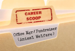 Career Scoop file, on what it's like to work as an Office Manager / Fundraiser in Animal Welfare