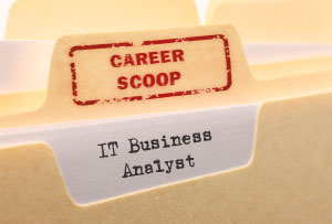 Career Scoop file, on what it's like to work as an IT Business Analyst