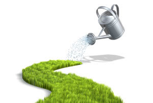 Picture of a watering can growing a new path, as an analogy for growing your own career