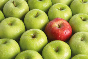 Photo of one red apple, amongst many green apples - a metaphor for standing out in job interviews
