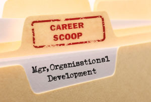 Career Scoop File, on what its like to work as an Organisational Development Manager